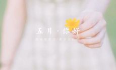 五月萌新必备：唯美短句大合集