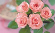 分享心情和生活,我在朋友圈发表了一篇六个字的个性化纪念性状态更新