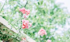 2022年微信上最火的热门聊天话题和热点事件汇总