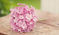 震撼心灵的浪漫表白技巧,让你的爱人为你疯狂,收获幸福与甜蜜!