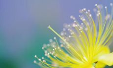 探究朋友圈里的经典暖心说说:我们和身边朋友之间的真挚情感和温暖力量