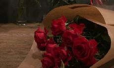 惊艳恋人心扉的浪漫表白句子，让你的爱意如鸟儿展翅飞翔！