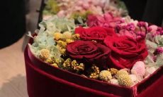 贯穿岁月的爱，深情凝聚成的一连串句子