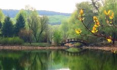 用唯美短句描述的美丽风景画,令人陶醉迷醉,令人心旷神怡,赏析其美丽纷呈令人心生感慨!