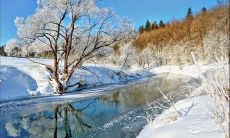 如何运用温暖的走心文案来应对极寒的大雪天气?