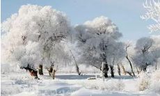 一些描述冬季雪景的优美句子,让你感受到纯净、寂静与美丽