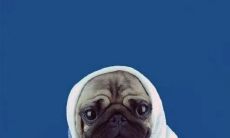 两位好朋友即将重逢,心中充满了喜悦的美好时刻