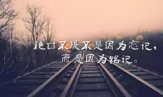 一些简短的阳光句子，让你的心情变得更加明朗和愉悦