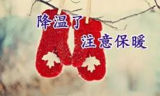 精选适合发朋友圈的优美句子——迎接降温时光,让心灵沐浴清风,感受清新宜人的秋日气息!