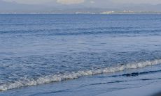 疼痛深刻,心灵摧残 - 带有强烈情感的痛苦句子