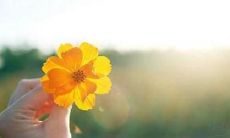 通过发短信向客户问候,增强客户满意度及促进客户关系维护