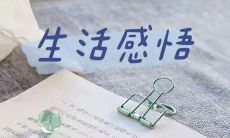 成年人的日常生活充满挑战：从生活感悟人生的艰辛经历