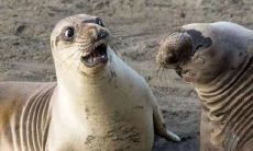 这里有一些风趣幽默、令人捧腹的句子,让你忍不住大笑!