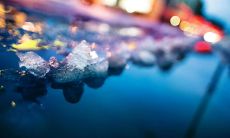 探索深刻的生活哲学——思考自身生活的感悟和经验