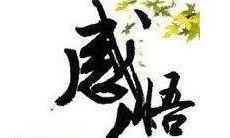 无论多艰难，自己所选的道路必须坚定走下去，毫不放弃