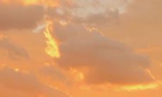 探讨人生现实与理性的重要性:深刻、有道理的句子对人生至关重要