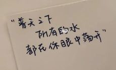 爱情是什么？让你感受心跳的那种绵长情话，令人陶醉的纯美句子，催人泪下的浪漫文案