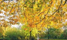 在压力下保持冷静和平静的哲学句子,使内心保持平和和稳定的建议和指南