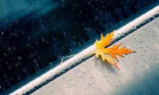 情深到痛彻心扉的深情句子