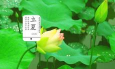 丰富多彩的文学之美：描绘立夏的绝妙词汇和句子