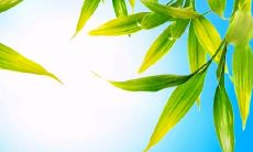 分享关于知音、朋友和爱人的深刻感悟的一句话