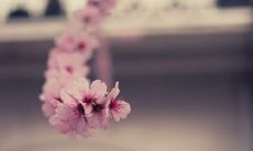 五一劳动节:一年一度的庆祝劳动精神和工人阶级的节日