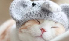 五一劳动节: 纪念国际劳动者运动、庆祝劳动制度改革成果、反思劳动力市场的未来发展趋势及其对全球经济的影响