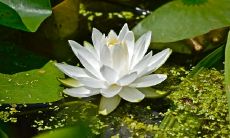 无与伦比的女生之间真挚友谊，令人感叹不已！