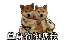 生活中遇到的挑战和经历：独行女子的单身狗日记