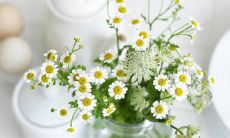 更加生动有力的作文素材——让你成为句子神仙的神奇技巧!