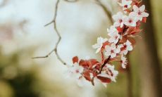 销售策略的新宠——利用客户问候短信提高窗帘销售效率