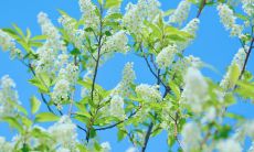 春天的到来带来了无限的希望和生机勃勃的景象，让人们激动不已