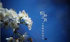 三月旋律轻快的春日心情,与您分享我心头的喜悦和快乐