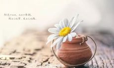 三月问候短句——来传递你的心情吧