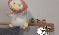 搞笑有趣的早晨问候短信集锦，内容丰富，让你开心迎接每一天