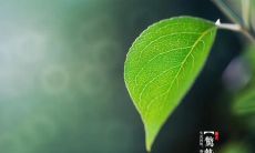 今日惊蛰:朋友圈上频频出现关于惊蛰的说说,让人感叹天气越来越微妙!