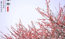 盘点春分节气所述的传世古诗，深入解析这些诗作中所蕴含的人文情感和哲学思考