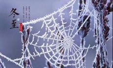 用于庆祝冬至的祝福诗句，表达您对亲友的美好祝福和感恩之情