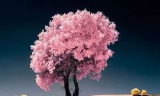 展现崭新开始的句子，带有绝美诗意