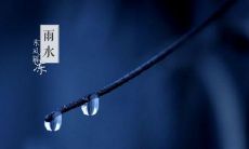 蕴含唯美诗意的描写雨水节气的句子，恰如那无尽细腻的落雨，柔美而丰富，感性而又深刻