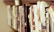 最美妙的重阳节赞歌:寻找适合这个传统佳节的句子,最佳诗句颂扬这个令人难以忘怀的时刻!