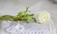 婚外情人因思念而寄语,流露出内心的痛与忧伤