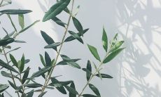 汇总:现代社会中激励人心的名言语录大全