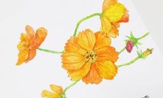 15句古诗句表达的友谊与友情之美