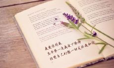 小学六年级诗歌教学:详解托物言志的诗句表达技巧与实践应用