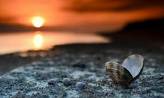 凝聚人生智慧与力量的激励语录——激荡心灵的人生励志名言!