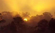 班级五组口号大全:用霸气的宣言打造团结力量,向未来不断挑战!