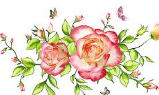 一些表达深情友谊的精美英文句子