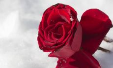 10句最浪漫的情侣祝福语，简短而有情调