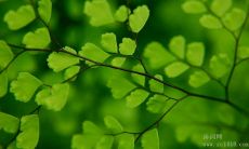 提醒交通安全的必备警语与警句：让行人醒目警戒，保障车辆畅行无阻！